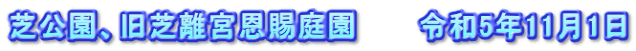 芝公園、旧芝離宮恩賜庭園　　　令和5年11月1日