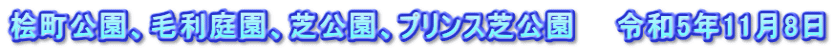 桧町公園、毛利庭園、芝公園、プリンス芝公園　　令和5年11月8日