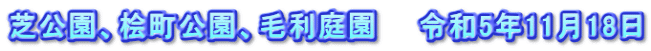 芝公園、桧町公園、毛利庭園　　令和5年11月18日