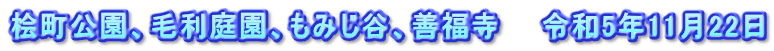 桧町公園、毛利庭園、もみじ谷、善福寺　　令和5年11月22日