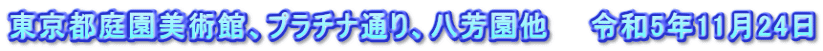 東京都庭園美術館、プラチナ通り、八芳園他　　令和5年11月24日