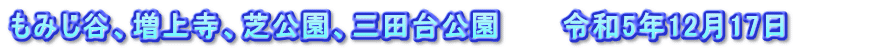 もみじ谷、増上寺、芝公園、三田台公園　　　令和5年12月17日　　　　