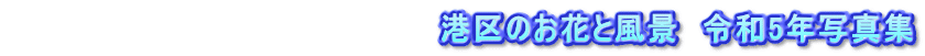 　　　　　　　　　　　　　　　　　　　港区のお花と風景　令和5年写真集