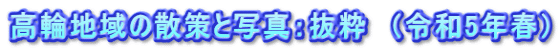 高輪地域の散策と写真：抜粋　（令和5年春）