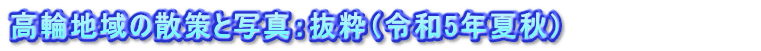 高輪地域の散策と写真：抜粋（令和5年夏秋）　　　　　　　　　