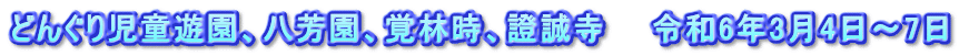どんぐり児童遊園、八芳園、覚林時、證誠寺　　令和6年3月4日～7日