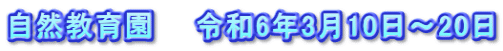 自然教育園　　令和6年3月10日～20日