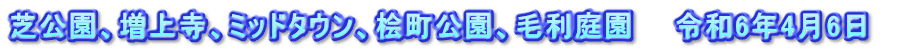 芝公園、増上寺、ミッドタウン、桧町公園、毛利庭園　　令和6年4月6日　