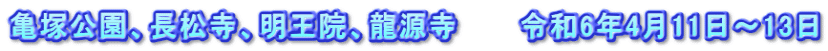 亀塚公園、長松寺、明王院、龍源寺　　　令和6年4月11日～13日