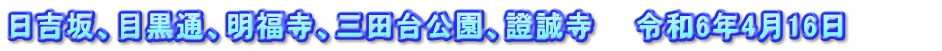 日吉坂、目黒通、明福寺、三田台公園、證誠寺　　令和6年4月16日　　　　