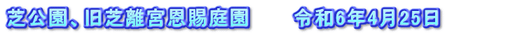 芝公園、旧芝離宮恩賜庭園　　　令和6年4月25日　　　　