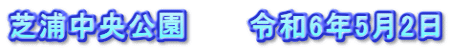 芝浦中央公園　　　令和6年5月2日