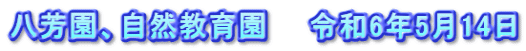 八芳園、自然教育園　　令和6年5月14日