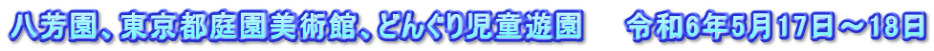 八芳園、東京都庭園美術館、どんぐり児童遊園　　令和6年5月17日～18日