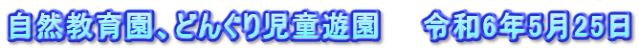 自然教育園、どんぐり児童遊園　　令和6年5月25日