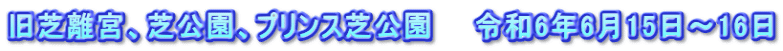 旧芝離宮、芝公園、プリンス芝公園　　令和6年6月15日～16日