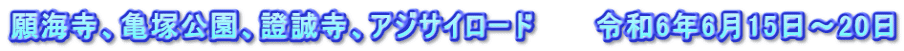 願海寺、亀塚公園、證誠寺、アジサイロード　　　令和6年6月15日～20日