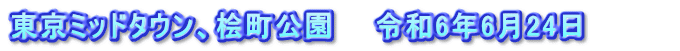 東京ミッドタウン、桧町公園　　令和6年6月24日　　　　