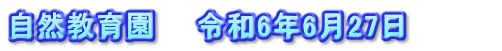 自然教育園　　令和6年6月27日　　　　