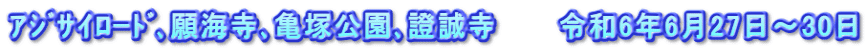 ｱｼﾞｻｲﾛｰﾄﾞ､願海寺､亀塚公園､證誠寺　　　令和6年6月27日～30日