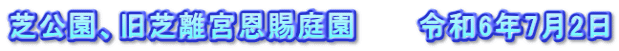 芝公園、旧芝離宮恩賜庭園　　　令和6年7月2日