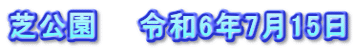 芝公園　　令和6年7月15日