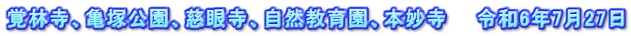 覚林寺、亀塚公園、慈眼寺、自然教育園、本妙寺　　令和6年7月27日
