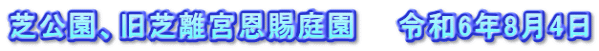 芝公園、旧芝離宮恩賜庭園　　令和6年8月4日