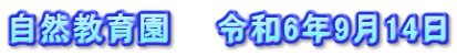 自然教育園　　令和6年9月14日