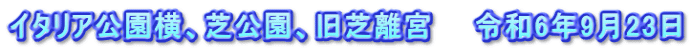 イタリア公園横、芝公園、旧芝離宮　　令和6年9月23日