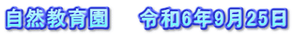 自然教育園　　令和6年9月25日