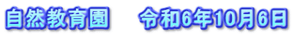 自然教育園　　令和6年10月6日