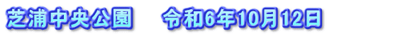芝浦中央公園　　令和6年10月12日　　　　　