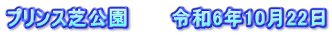 プリンス芝公園　　　令和6年10月22日