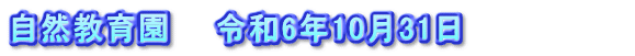 自然教育園　　令和6年10月31日　　　　　　　