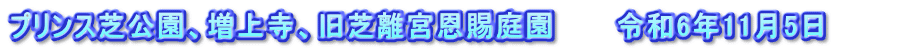 プリンス芝公園、増上寺、旧芝離宮恩賜庭園　　　令和6年11月5日　　　