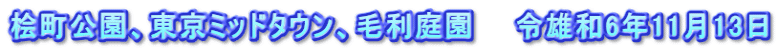 桧町公園、東京ミッドタウン、毛利庭園　　令雄和6年11月13日