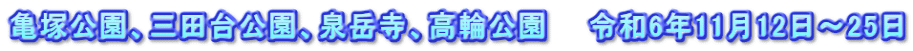亀塚公園、三田台公園、泉岳寺、高輪公園　　令和6年11月12日～25日