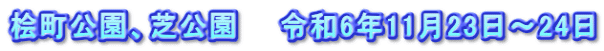 桧町公園、芝公園　　令和6年11月23日～24日