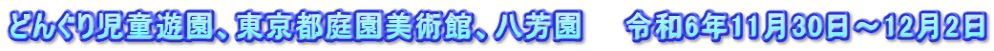 どんぐり児童遊園、東京都庭園美術館、八芳園　　令和6年11月30日～12月2日