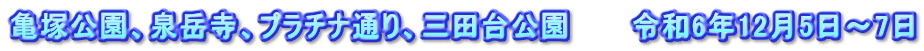 亀塚公園、泉岳寺、プラチナ通り、三田台公園　　　令和6年12月5日～7日