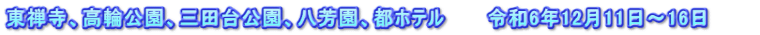 東禅寺、高輪公園、三田台公園、八芳園、都ホテル　　　令和6年12月11日～16日　　　