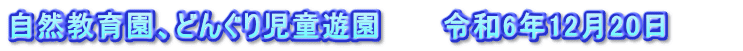 自然教育園、どんぐり児童遊園　　　令和6年12月20日　　　