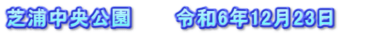 芝浦中央公園　　　令和6年12月23日　　　