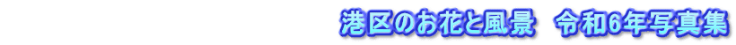 　　　　　　　　　　　　　　　　　　港区のお花と風景　令和6年写真集