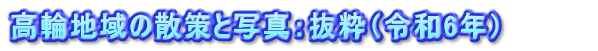 高輪地域の散策と写真：抜粋（令和6年）　　　　