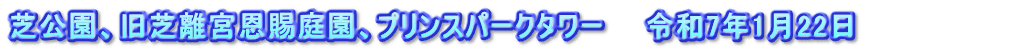芝公園、旧芝離宮恩賜庭園、プリンスパークタワー　　令和7年1月22日　　　　　　　　