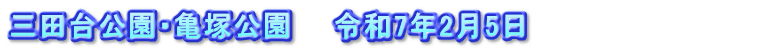 三田台公園・亀塚公園　　令和7年2月5日　　　　　　　　　　　