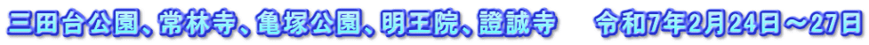 三田台公園、常林寺、亀塚公園、明王院、證誠寺　　令和7年2月24日～27日