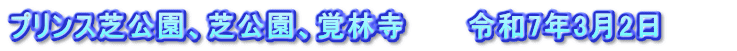 プリンス芝公園、芝公園、覚林寺　　　令和7年3月2日　　　